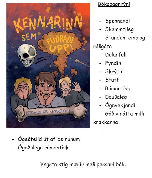 Bókagagnrýni á yngsta stigi