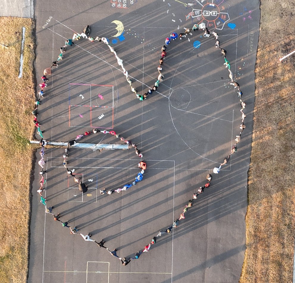 Dagur gegn einelti, GRÆNN dagur