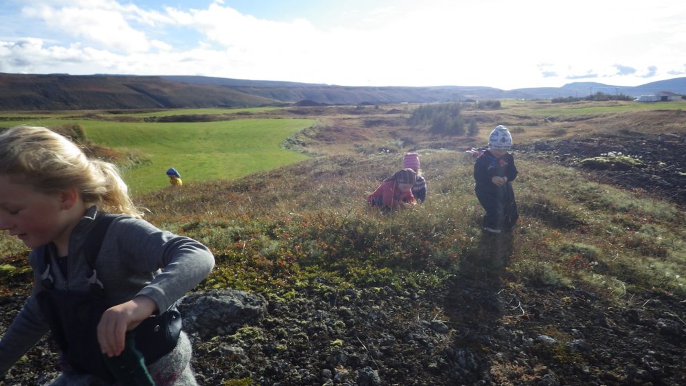 Umhverfið rannsakað