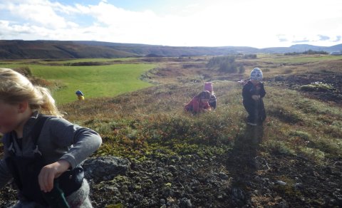 Umhverfið rannsakað