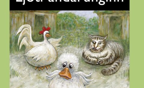 Vorgleði Þingeyjarskóla